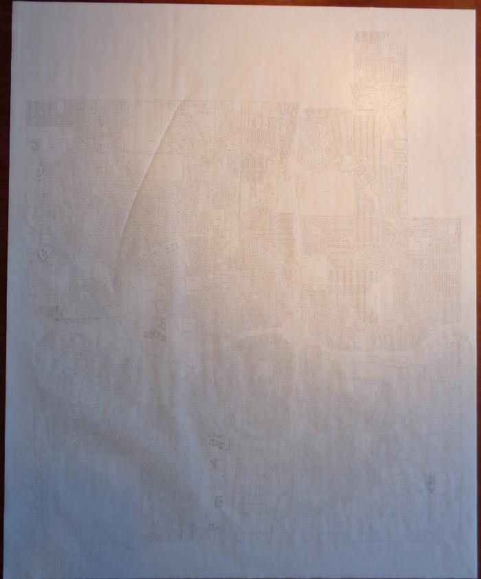 Plat map of Edina.