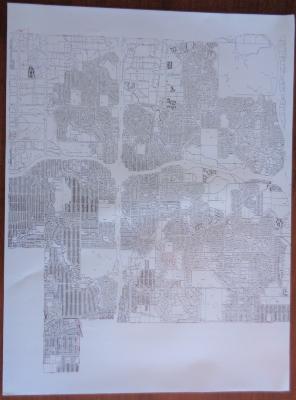 Plat map of Edina.