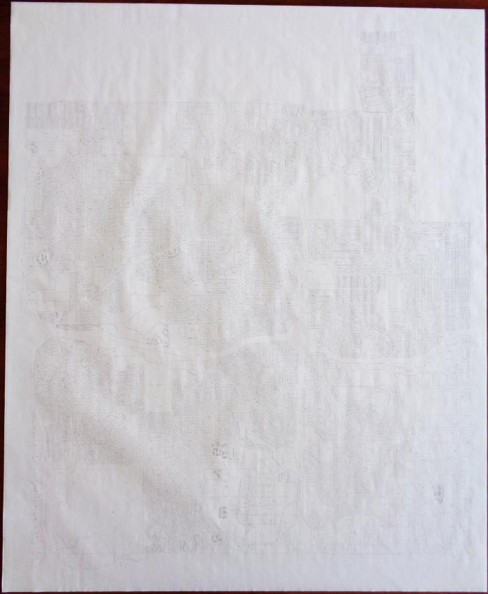 Plat map of Edina.