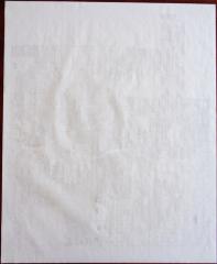Plat map of Edina.