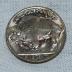 United States Buffalo Head Nickel