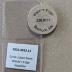 Drink token from Water's Edge