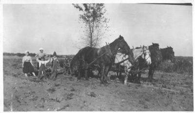 Lee Children on Cedar Farm