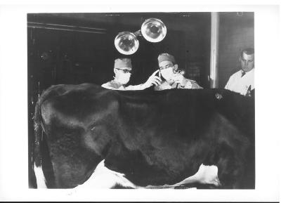 Gare Connors and Paul Lundgren, 1950