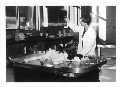 Ron Joki in the Diagnostic Lab