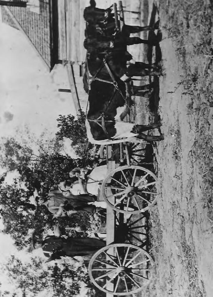 Men from Redwood Falls (hunters) and Women driving on farm from Upper Rice Lake.