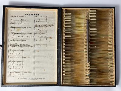 Slide Case