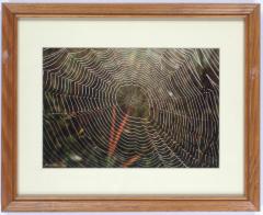 Randy Bauer Photograph