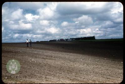 Plowed field.