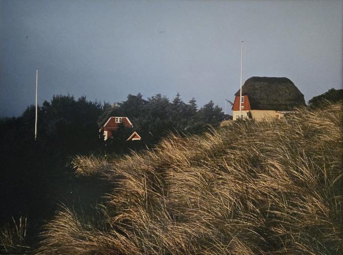 Summer Houses in Søndervig, Denmark