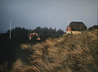 Summer Houses in Søndervig, Denmark