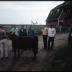 Ben Wade Blazers 4-H Club