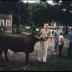 Ben Wade Blazers 4-H Club
