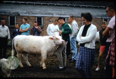 Ben Wade Blazers 4-H Club