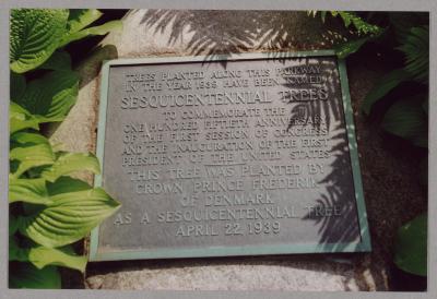  Photograph - Commemorative Plaque at Danebo