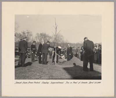 Photograph - Crown Prince Fredrik of Denmark planting a tree at Danebo, Minneaoplis, Minnesota