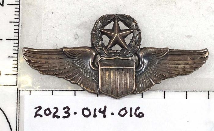 Command Pilot Wings