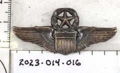 Command Pilot Wings