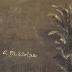 Painting - Farm Fields with Red Barn