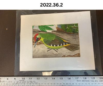 Strubbe Painting