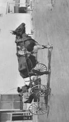 Ox drawn cart owned by John Dahlstrom on Clearbrook's Main Street