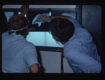 Wolverine Dental procedure