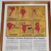 Framed Newspaper Clipping, "Fireman's Cartoons Emphasize Fire Dangers," The Minneapolis Star, Friday September 30, 1966, Page 1B