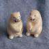 Ivory Salt and Pepper Shakers