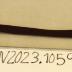 Leather Spanner Belt With Steel Metal Hook
