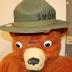 Vintage Smokey the Bear Costume