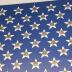 Fire Hose and Fire Badge American Flag Artwork