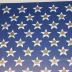 Fire Hose and Fire Badge American Flag Artwork