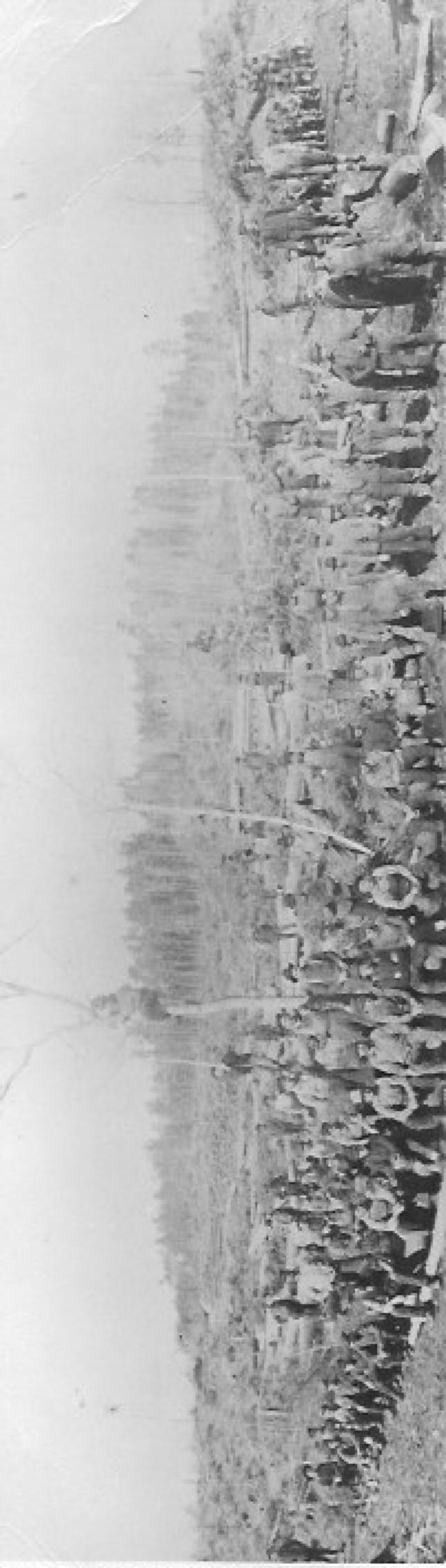 Group of Men Logging, Shevlin 