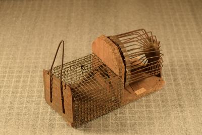 Mousetrap