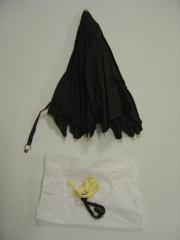 Parasol