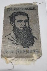 Ribbon, Political