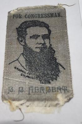 Ribbon, Political