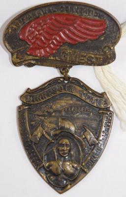 Pin, Insignia