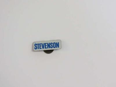 Pin, Political