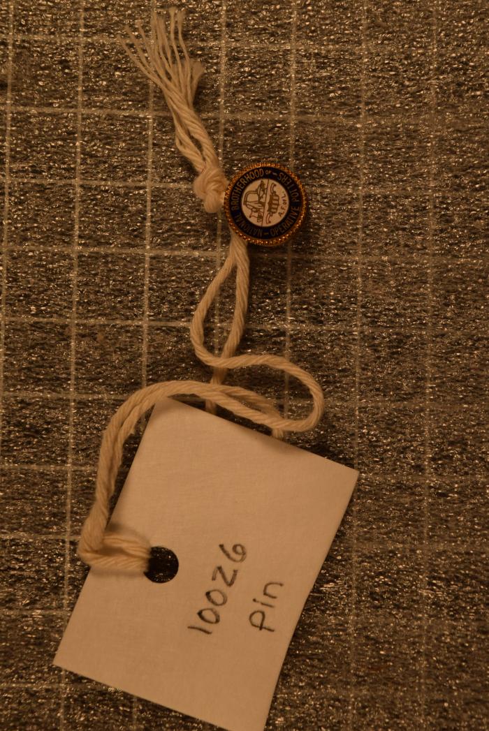 Pin, Lapel