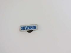 Pin, Political