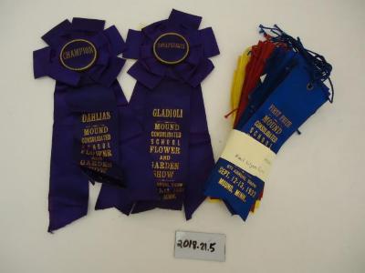 Lot of Prize Ribbons