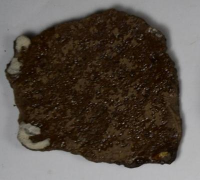 Sherd