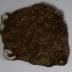 Sherd