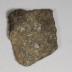 Sherd