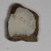 Sherd