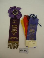 Lot of Prize Ribbons