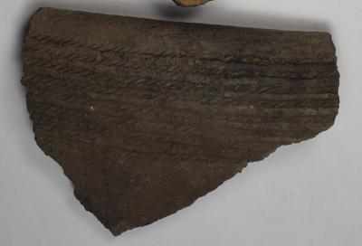 Sherd