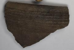 Sherd