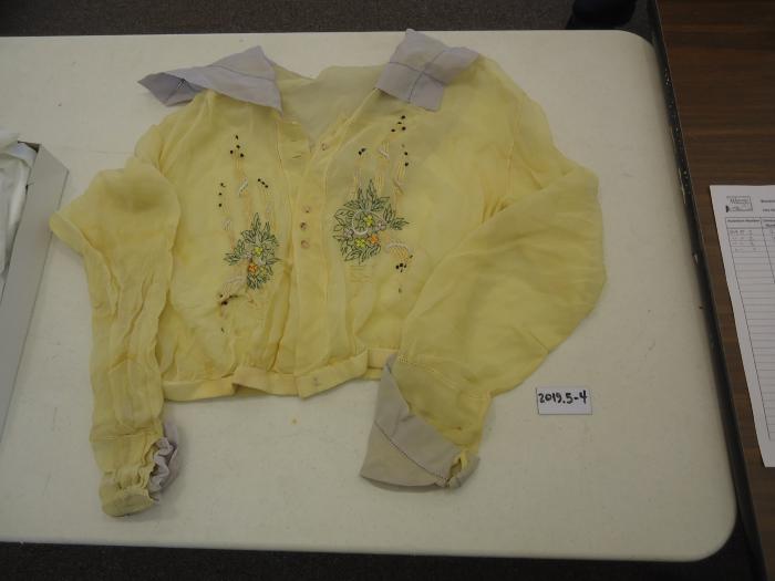 Woman's Yellow Blouse
